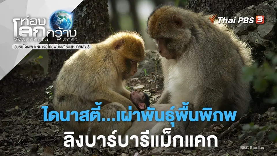 ท่องโลกกว้าง