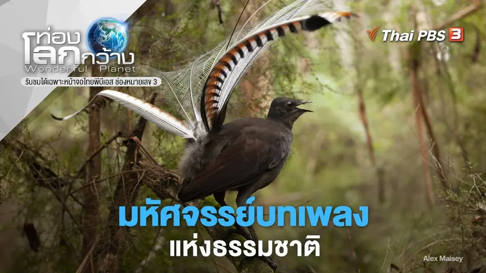 ท่องโลกกว้าง