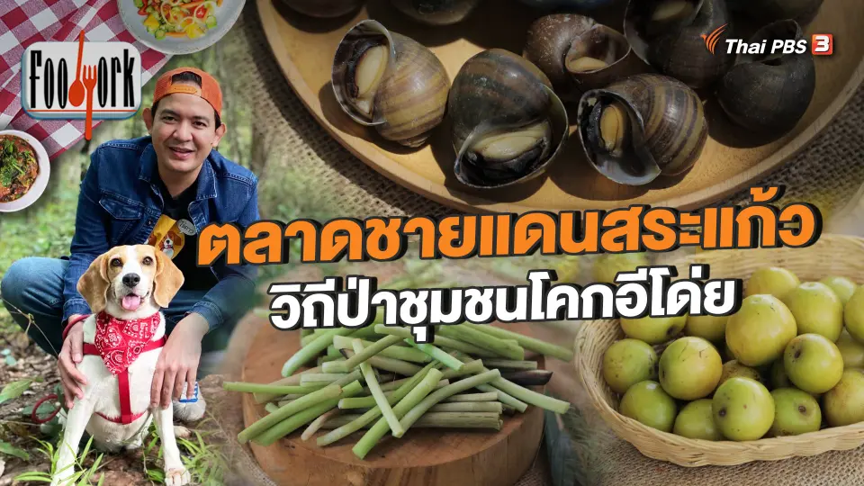 ตลาดชายแดนสระแก้ว วิถีป่าชุมชนโคกอีโด่ย