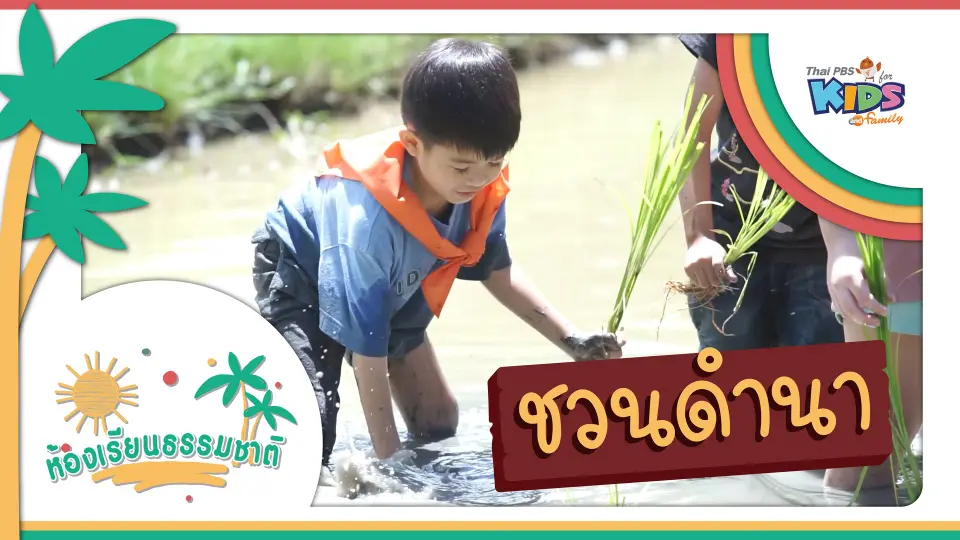 ชวนดำนา