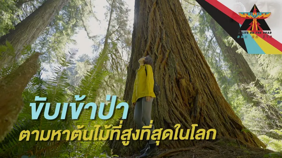 A Life on the Road  ถนน คน ชีวิต
