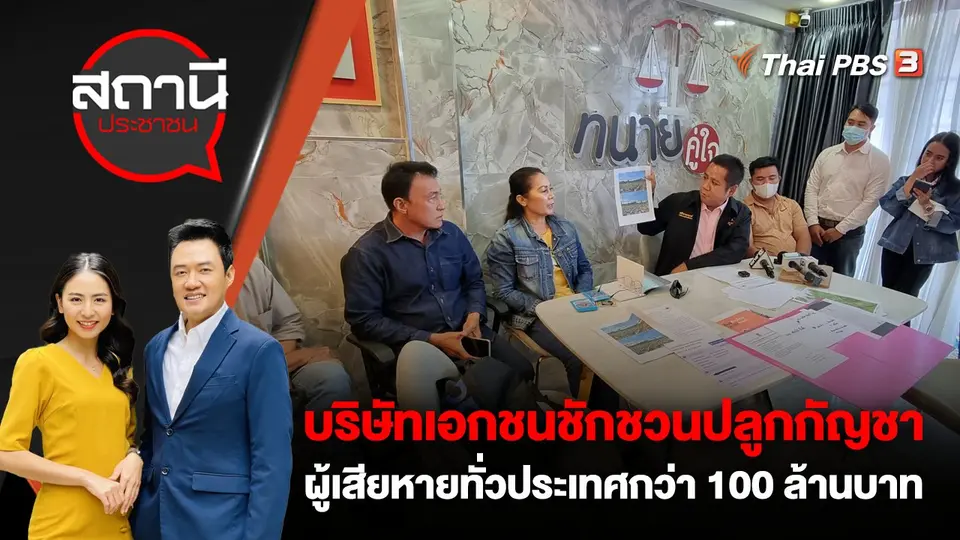 บริษัทเอกชนชักชวนปลูกกัญชา ผู้เสียหายทั่วประเทศ รวมมูลค่ากว่า 100 ล้านบาท