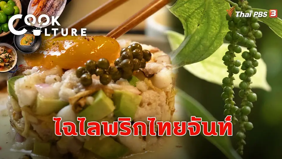 ไฉไลพริกไทยจันท์