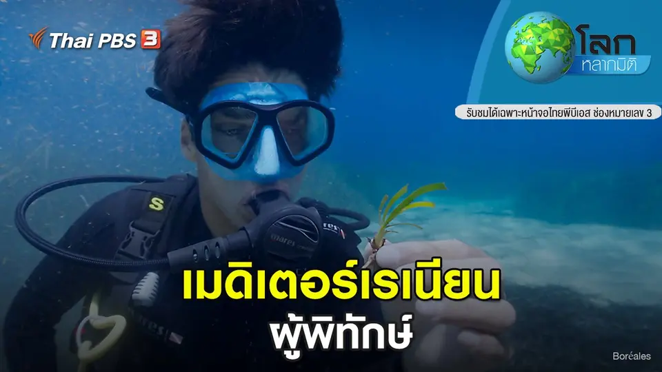 โลกหลากมิติ