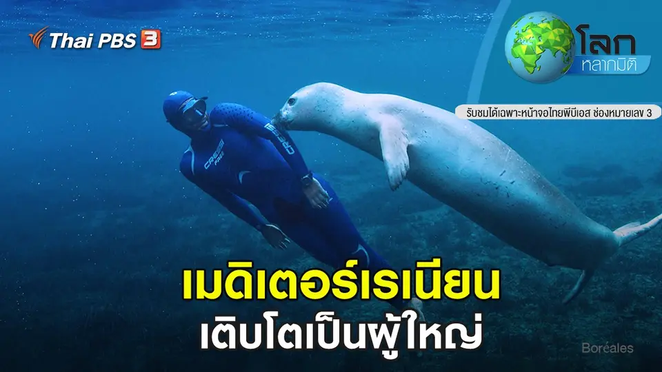 โลกหลากมิติ