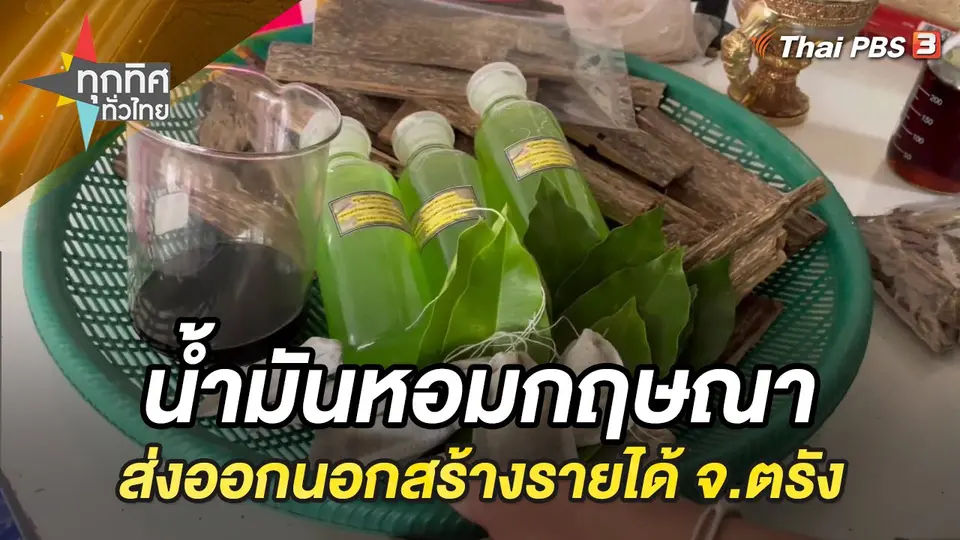 น้ำมันหอมกฤษณา ส่งออกนอกสร้างรายได้ จ.ตรัง