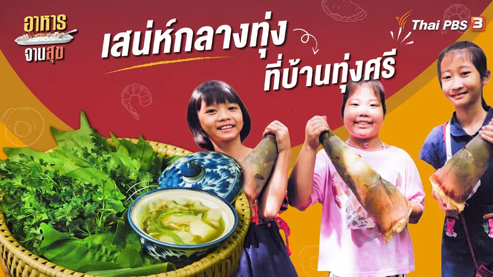 เสน่ห์กลางทุ่งที่บ้านทุ่งศรี