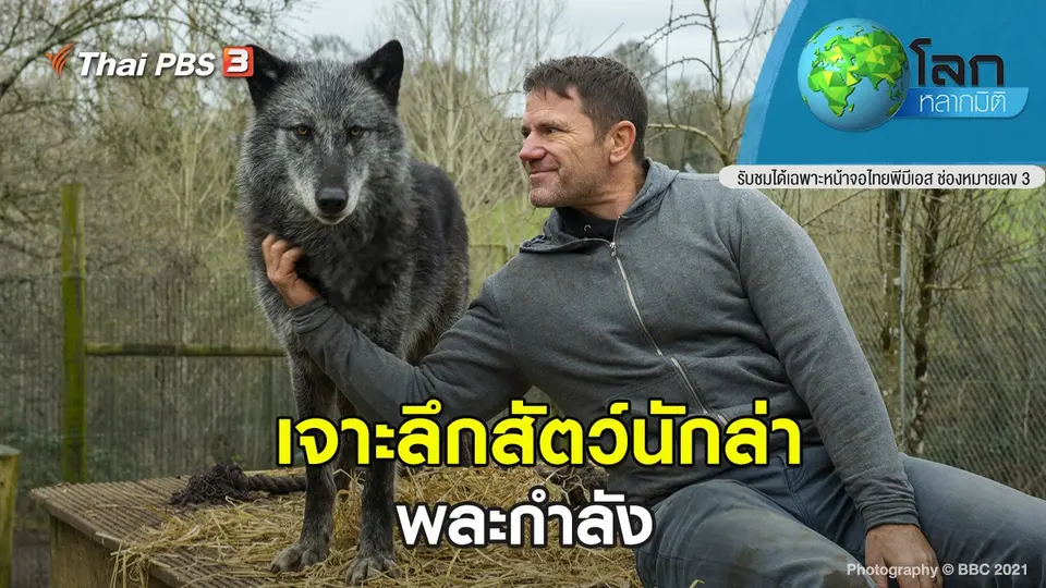 โลกหลากมิติ