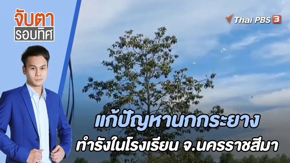 แก้ปัญหานกกระยางทำรังใน รร. จ.นครราชสีมา | 7 ก.ค. 66