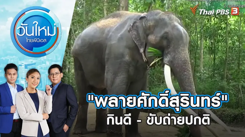 วันใหม่  ไทยพีบีเอส