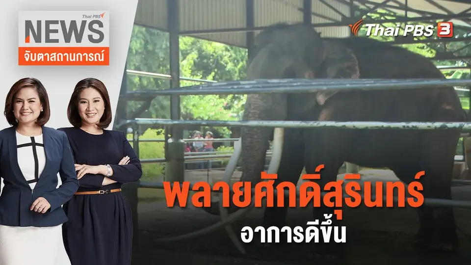 พลายศักดิ์สุรินทร์ อาการดีขึ้น | จับตาสถานการณ์ | 6 ก.ค. 66
