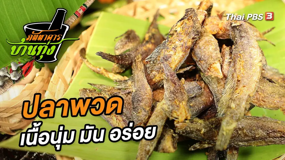 ปลาพวด