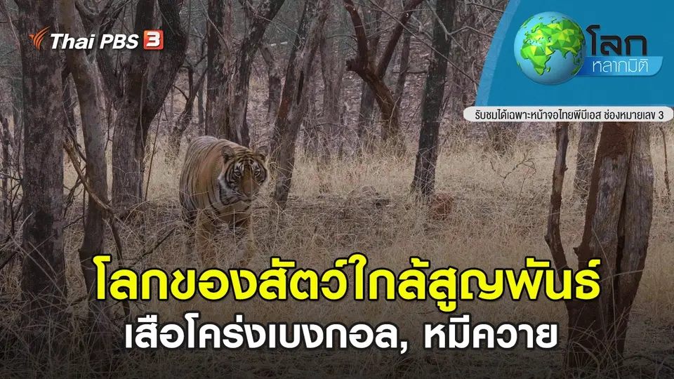 โลกหลากมิติ