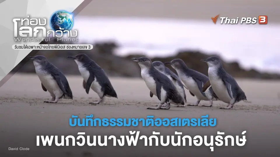 ท่องโลกกว้าง