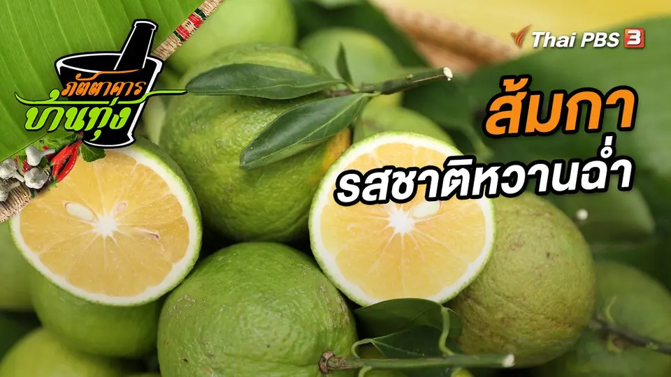 ส้มกา