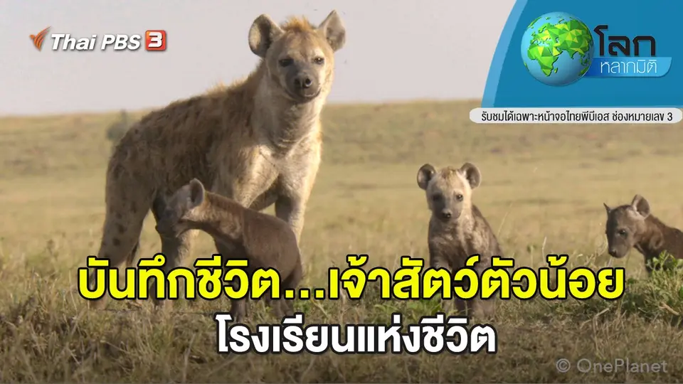 โลกหลากมิติ