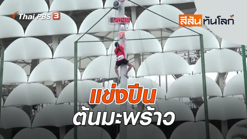 แข่งปีนต้นมะพร้าว | สีสันทันโลก | 3 ธ.ค. 66
