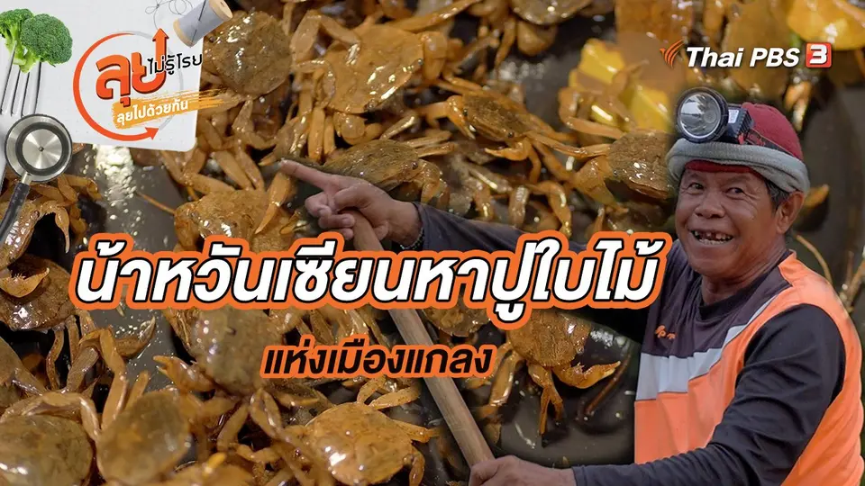 น้าหวันเซียนหาปูใบไม้ แห่งเมืองแกลง