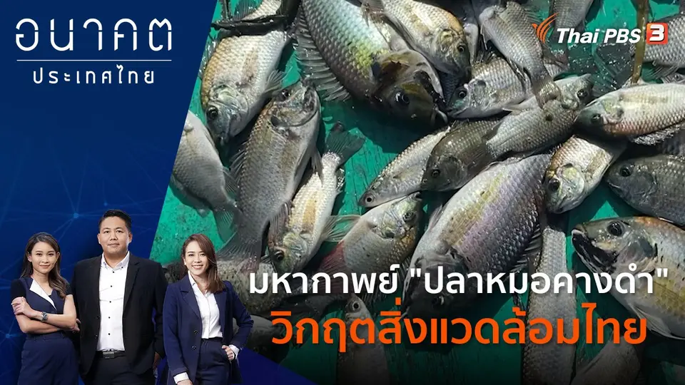 ทางออกวิกฤต "ปลาหมอสีคางดำ"