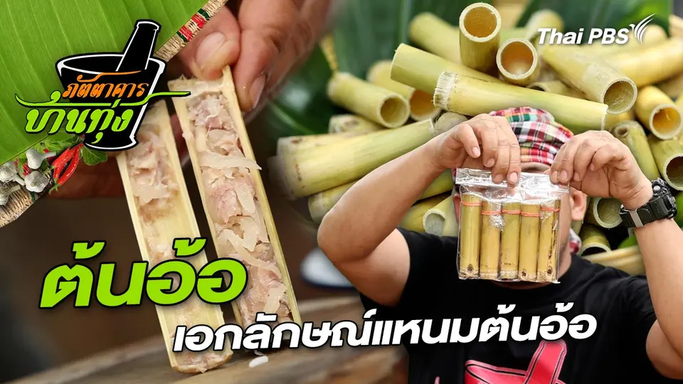 ต้นอ้อ