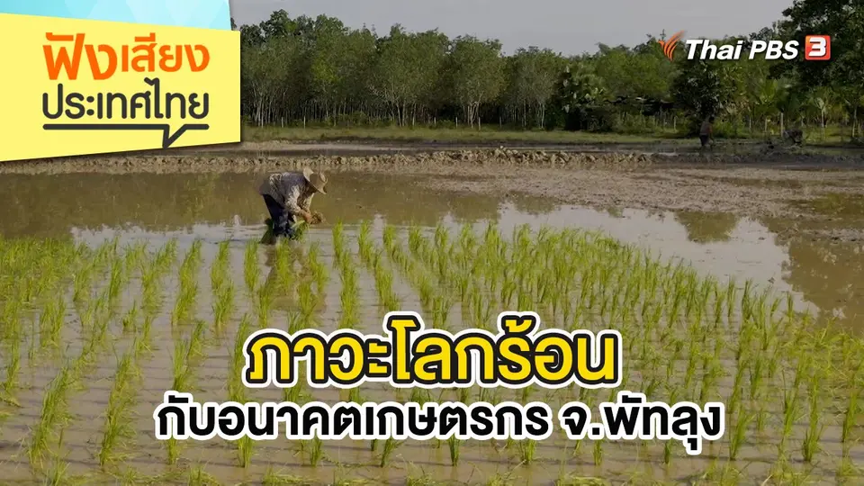 ภาวะโลกร้อนกับอนาคตเกษตรกร จ.พัทลุง