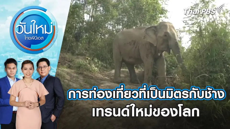 วันใหม่  ไทยพีบีเอส