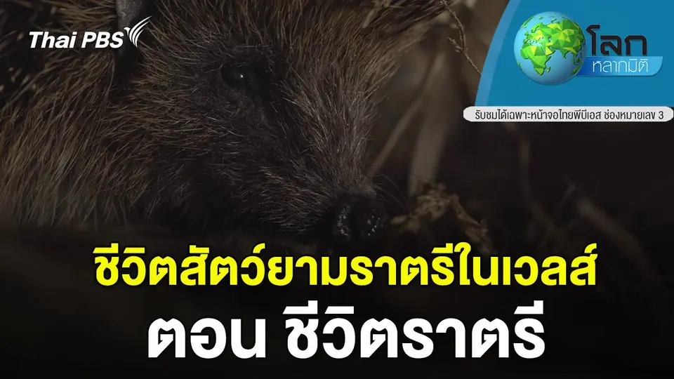 โลกหลากมิติ