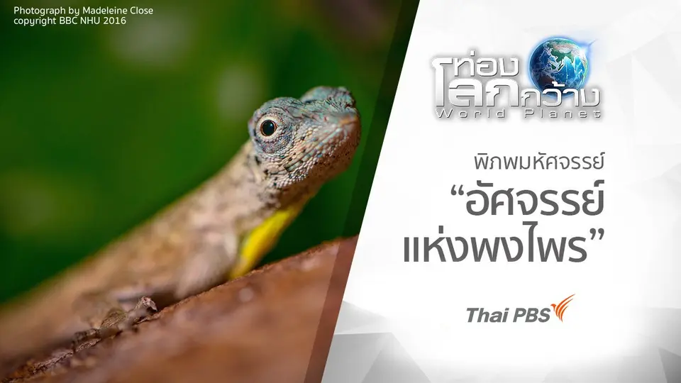 ท่องโลกกว้าง