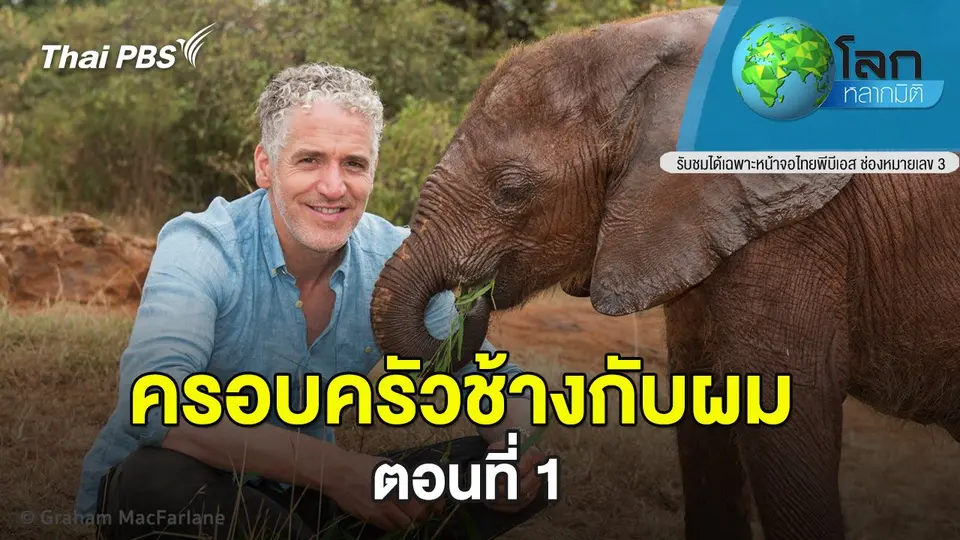 โลกหลากมิติ