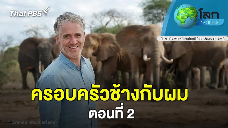 โลกหลากมิติ
