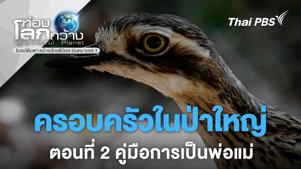 ท่องโลกกว้าง