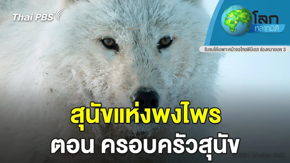 โลกหลากมิติ