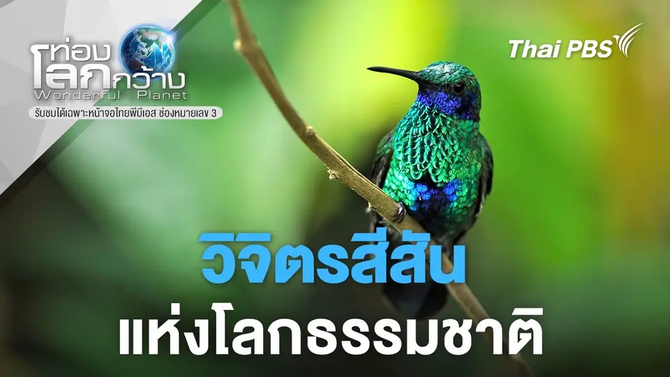 ท่องโลกกว้าง