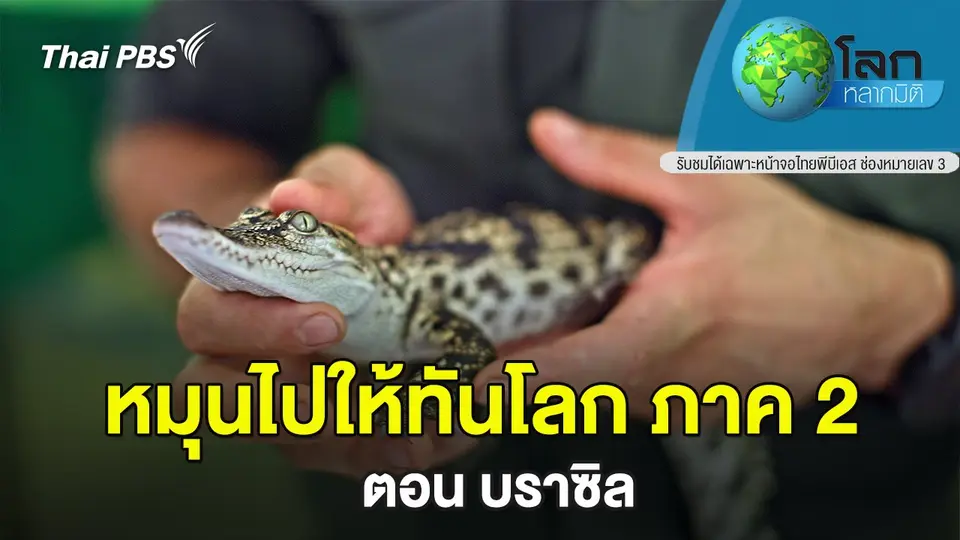 โลกหลากมิติ