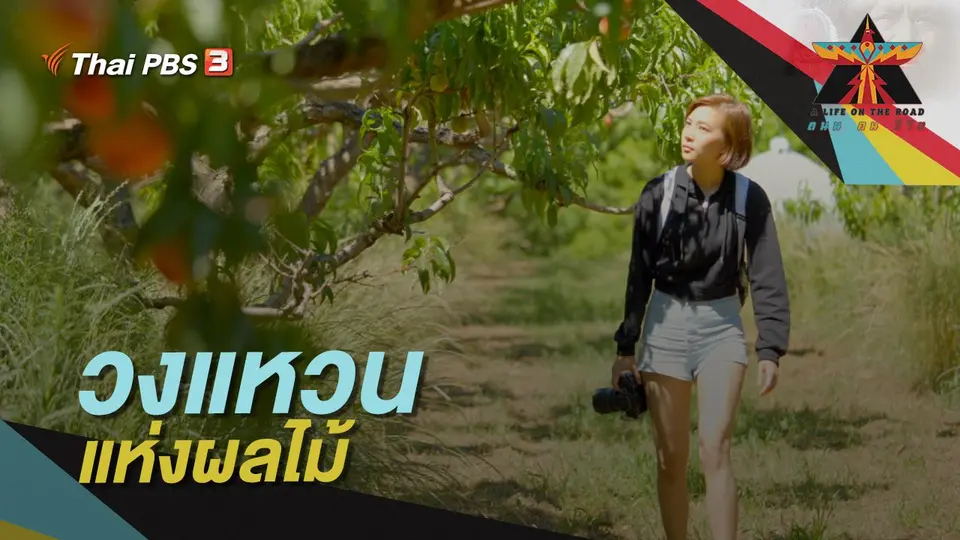 A Life on the Road  ถนน คน ชีวิต