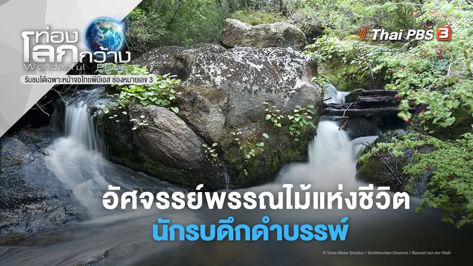 ท่องโลกกว้าง