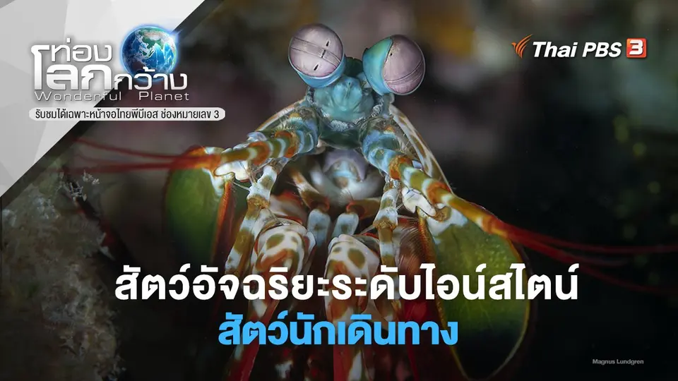 ท่องโลกกว้าง