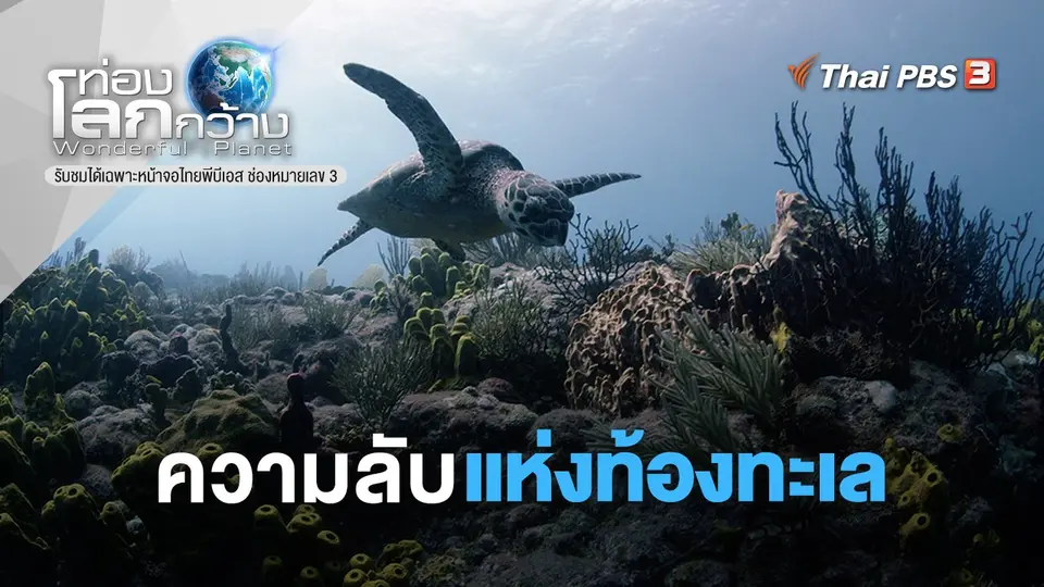 ท่องโลกกว้าง