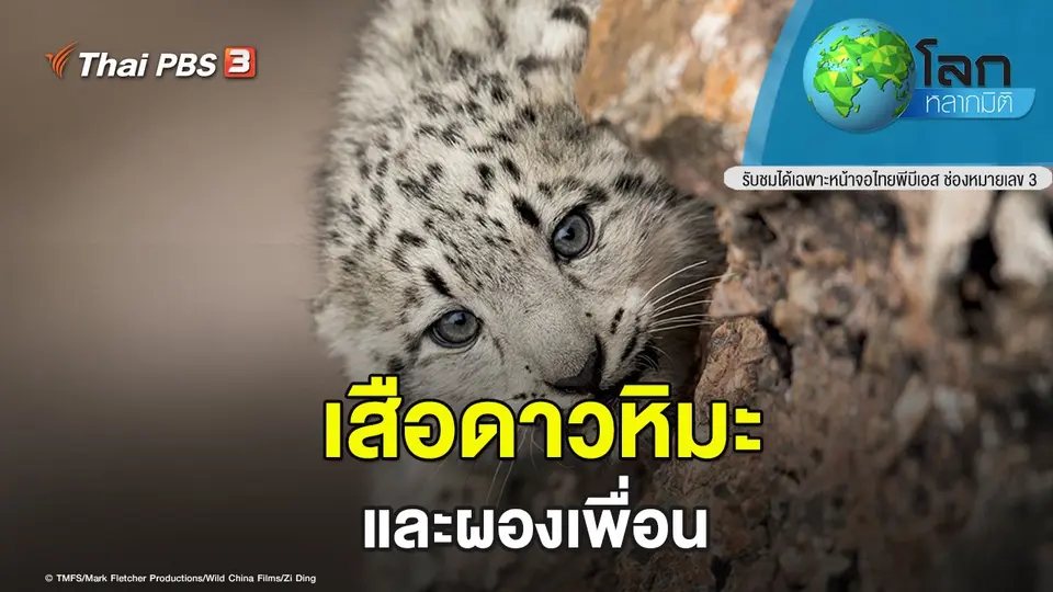 โลกหลากมิติ