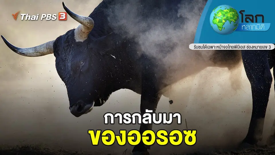 โลกหลากมิติ
