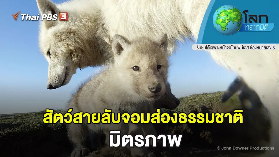 โลกหลากมิติ
