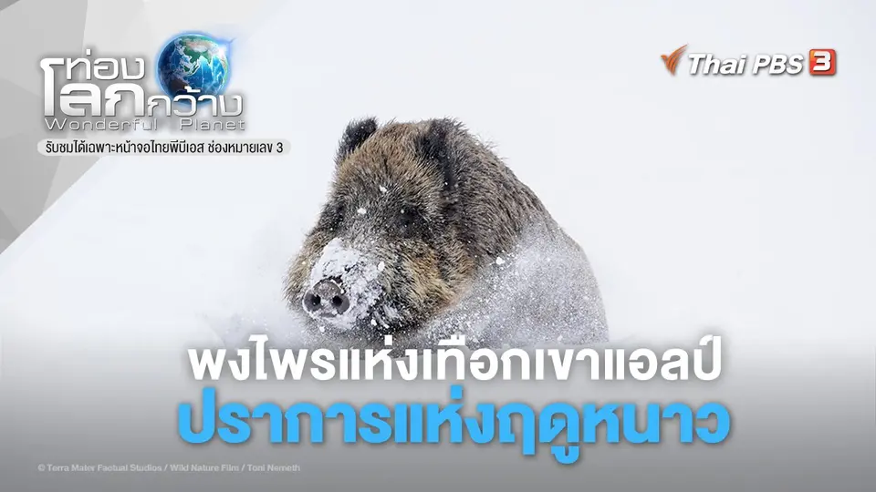 ท่องโลกกว้าง