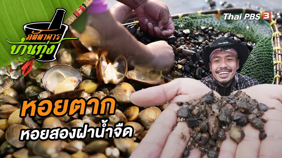 หอยตาก