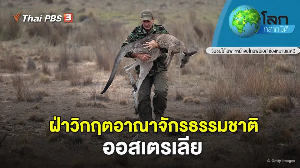 โลกหลากมิติ