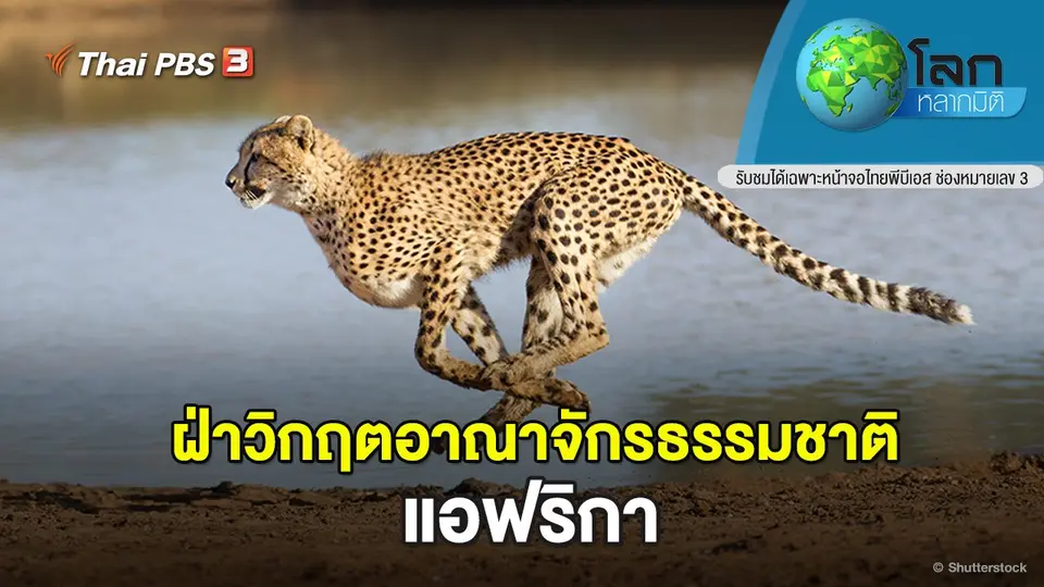 โลกหลากมิติ