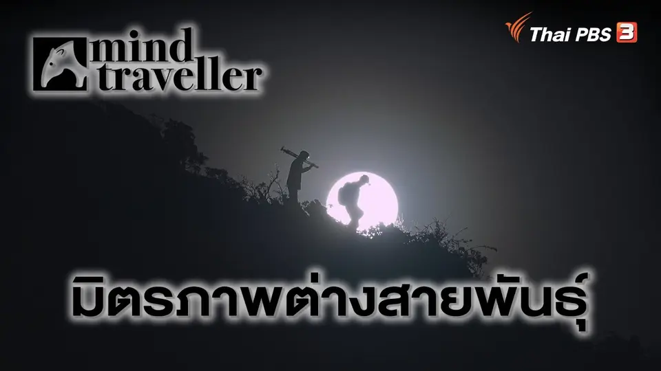 Mind Traveller ชีพจรไพร