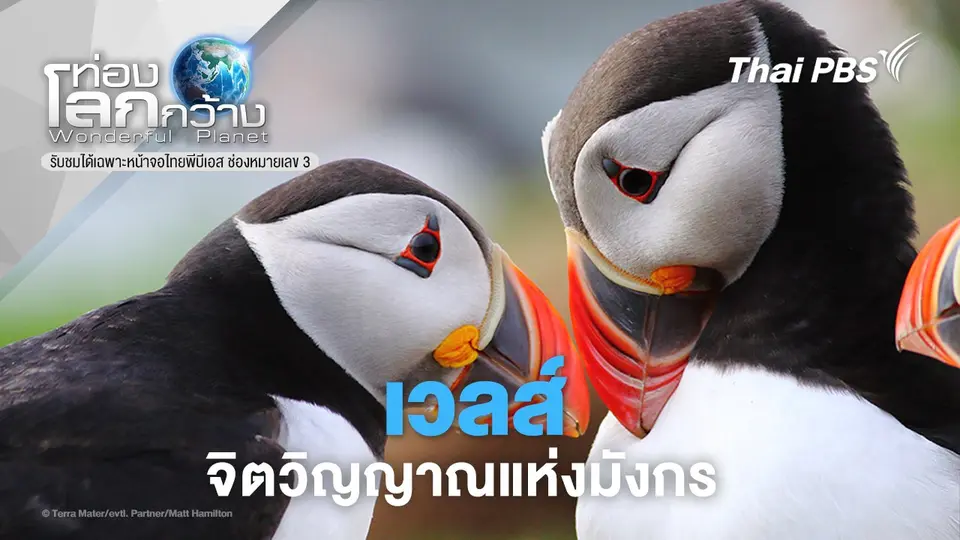 ท่องโลกกว้าง