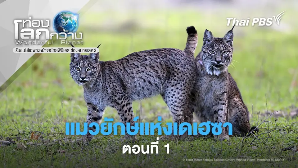 ท่องโลกกว้าง
