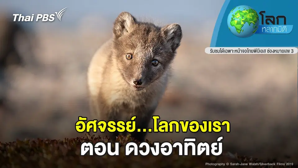 โลกหลากมิติ