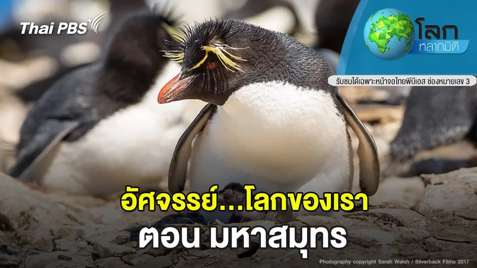 โลกหลากมิติ
